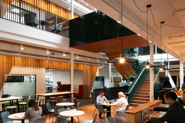 Austratus Ceiling + Wall Timber Batten System Proudly Specified in Cuba Street Farmers Heritage Building 