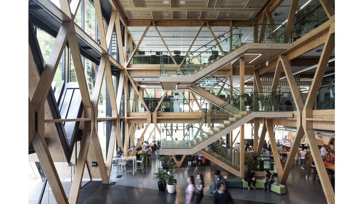 The full height atrium is a virtual  display space for innovative engineered timber.