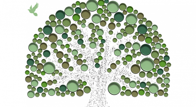 Painting it Green with Resene Carbon Projects