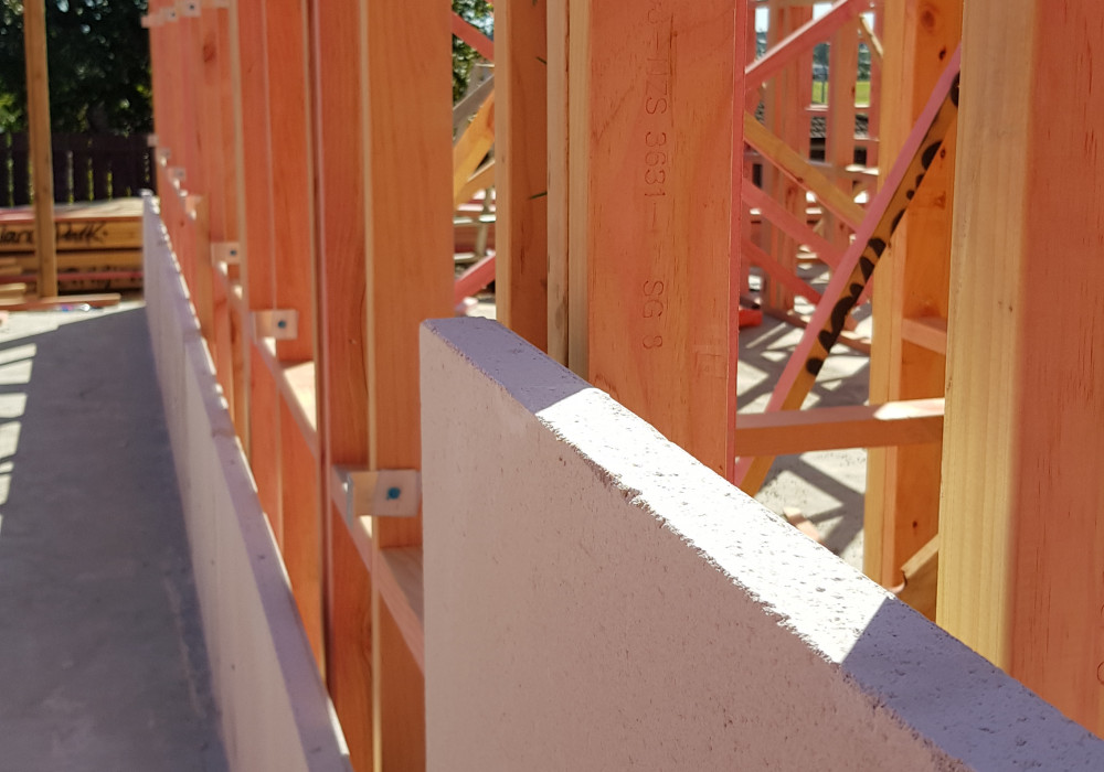 A Fast and Cost-Effective Central Barrier Intertenancy System