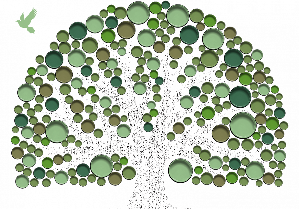 From Green Paint to Green Trees with Resene Eco.Decorators