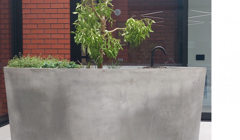Truly Bespoke Concrete Planters Delivered by the Team at GRC New Zealand