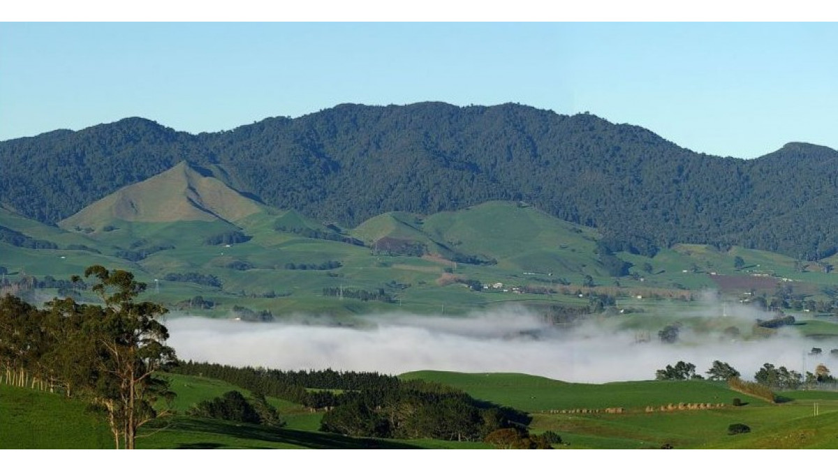 Profile Group has become the first participant in a new biodiversity market, purchasing biodiversity units from Sanctuary Mountain Maungatautari, in the South Waikato.