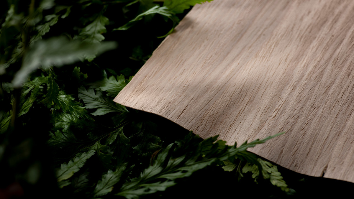 Bestwood Evoake Veneer - Crown Cut raw leaf.