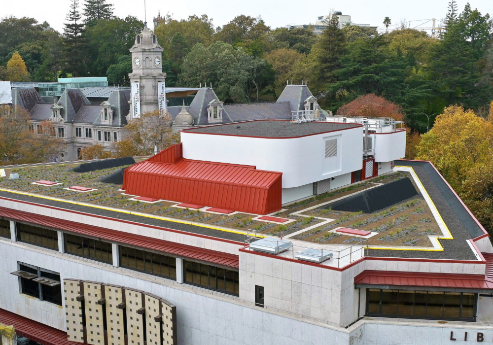 Auckland Library and the Growth of Green Roofs