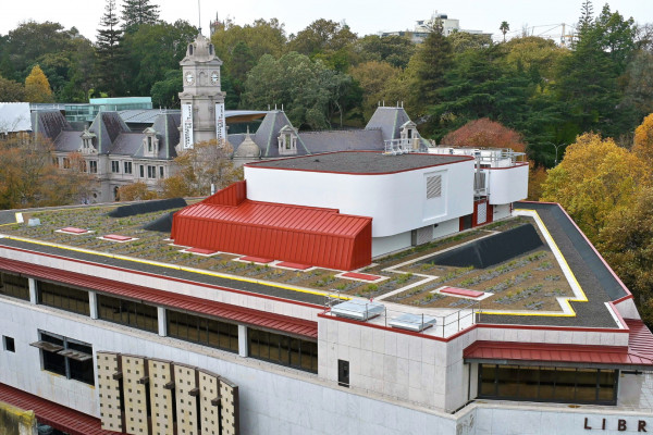 Auckland Library and the Growth of Green Roofs