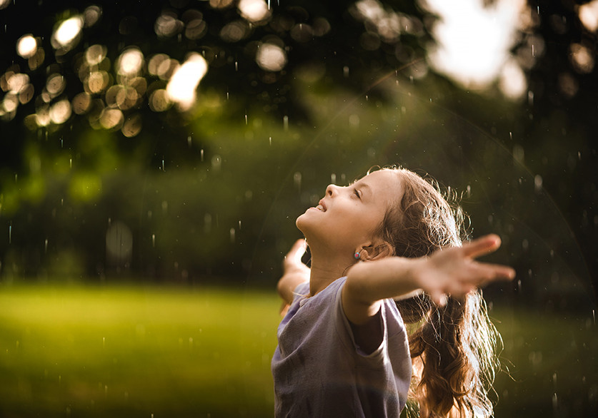 How Autex Acoustics Became Carbon Neutral