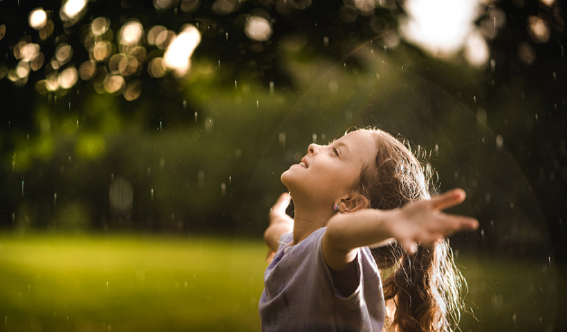 How Autex Acoustics Became Carbon Neutral