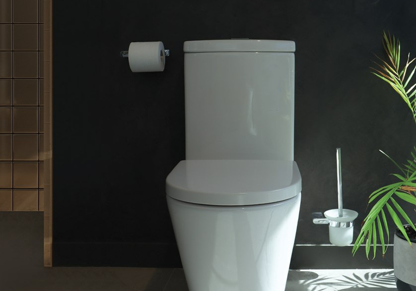 Introducing Evora II Rimless Toilet by Englefield