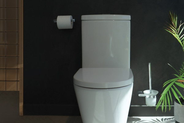 Introducing Evora II Rimless Toilet by Englefield 