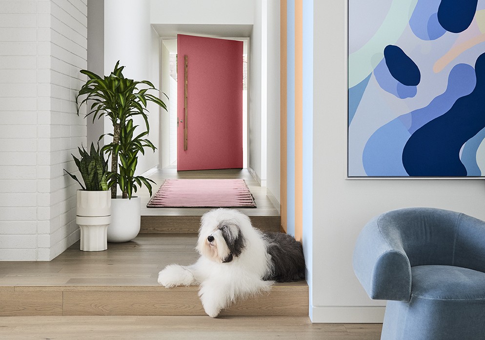 Dulux Summer Trends 2023: It’s Time to Brighten Up