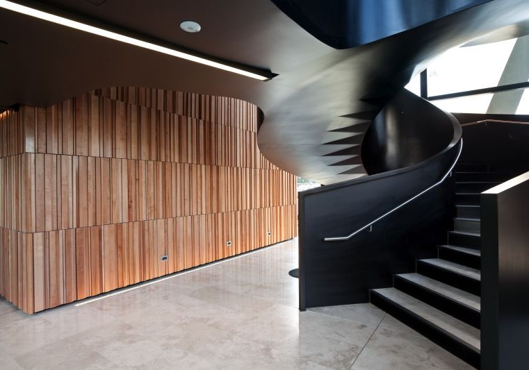 Southland Maple Beech: New Zealand’s Only FSC Certified Native Timber