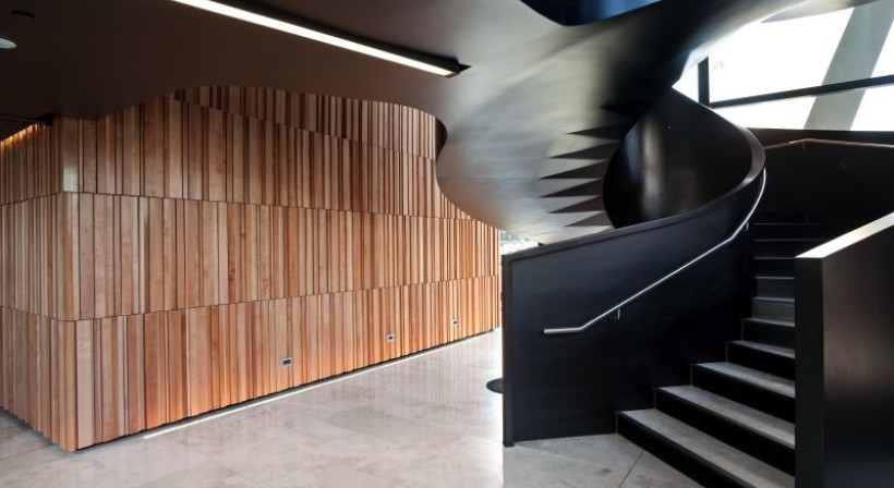 Southland Maple Beech: New Zealand’s Only FSC Certified Native Timber