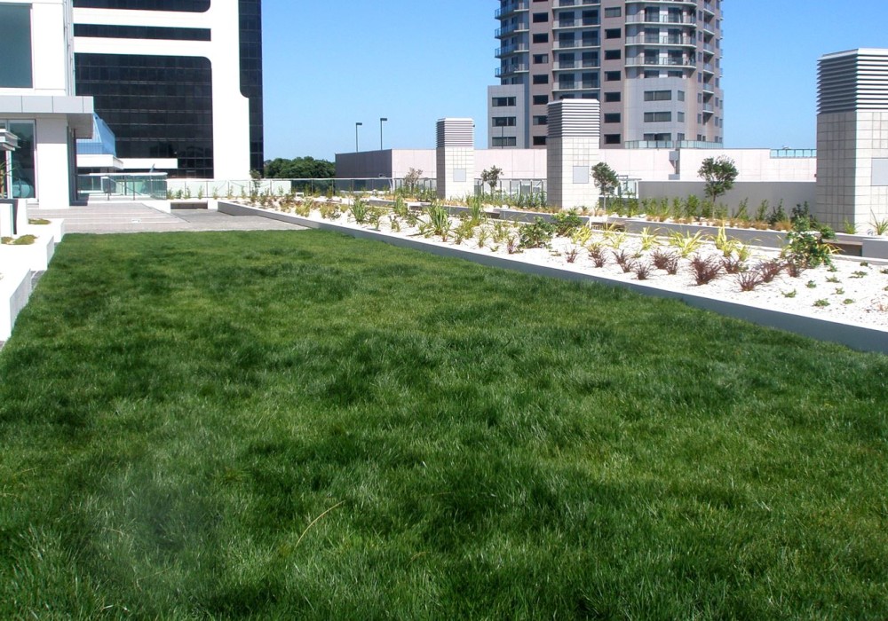 Draining Low Slope Roofs