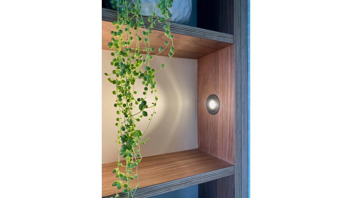 Kilbirnie ensuite – Sustainable Spaces