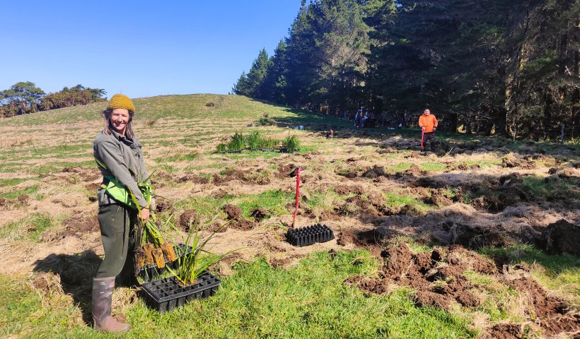 APT Tiaki Initiative Marks a Significant Milestone: 10,000 Native Trees Planted and Protected in New Zealand