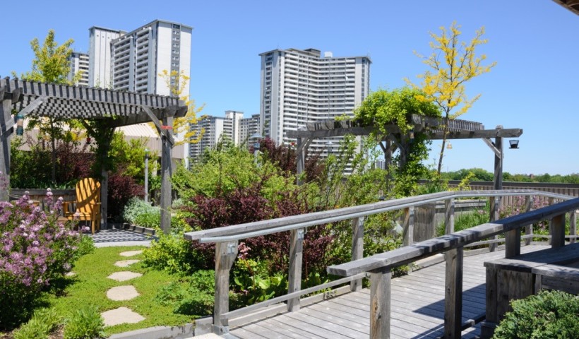 A System Creating Vibrant, Lush Sanctuaries Atop Apartment Buildings