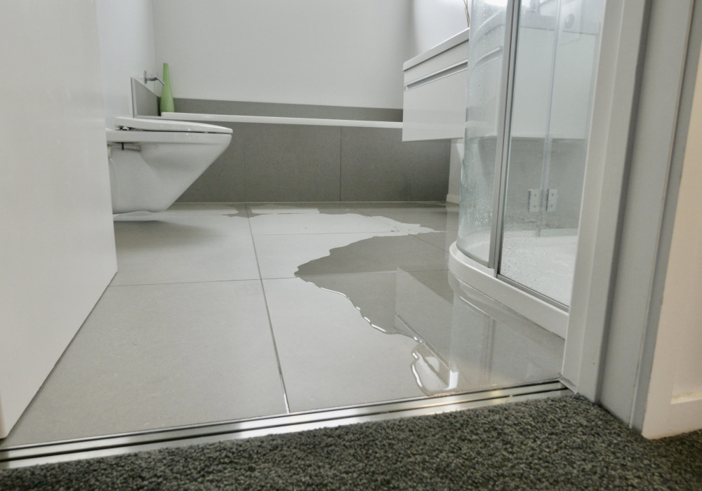 Innovative Flood Prevention with the Jesani Door Channel