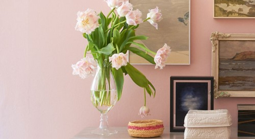 Porter's Paints: Crafting Colour and Texture in Hand-Made Paints and Wallpapers for Over 35 Years
