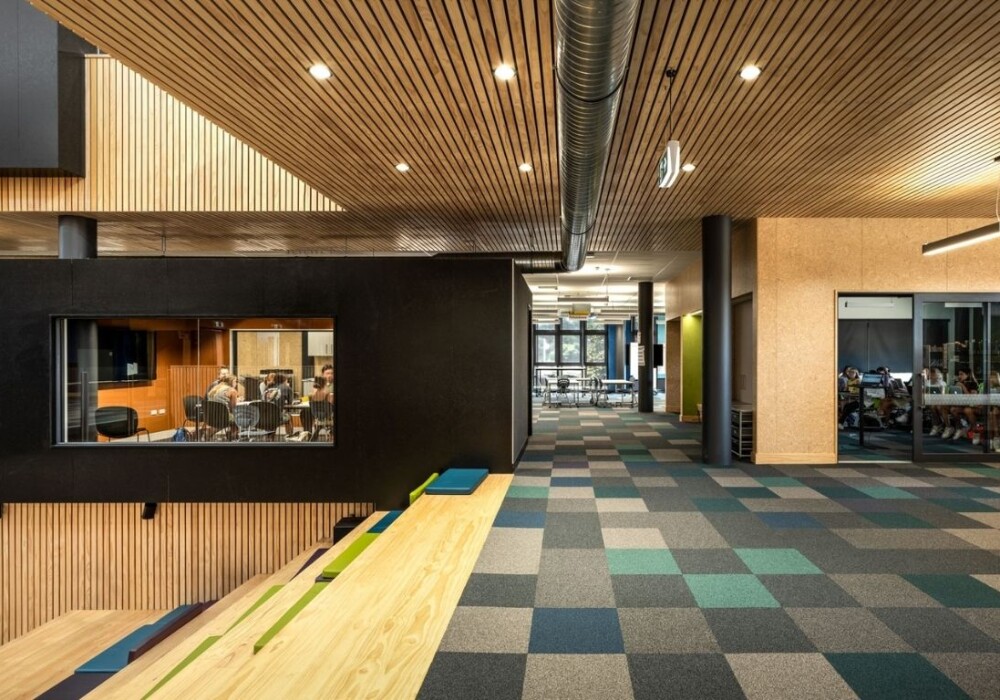 Why This Carpet Tile is Being Used in Eco-Conscious School Projects Around New Zealand