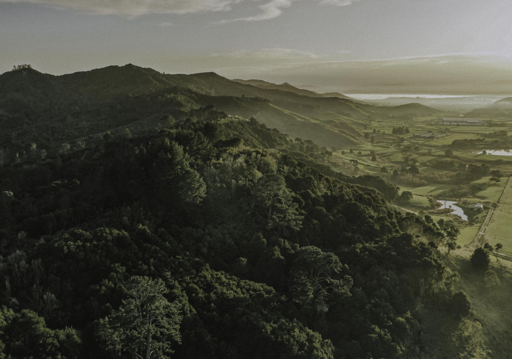 APL Outlines Commitment to Sustainability 