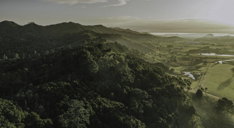 APL Outlines Commitment to Sustainability 