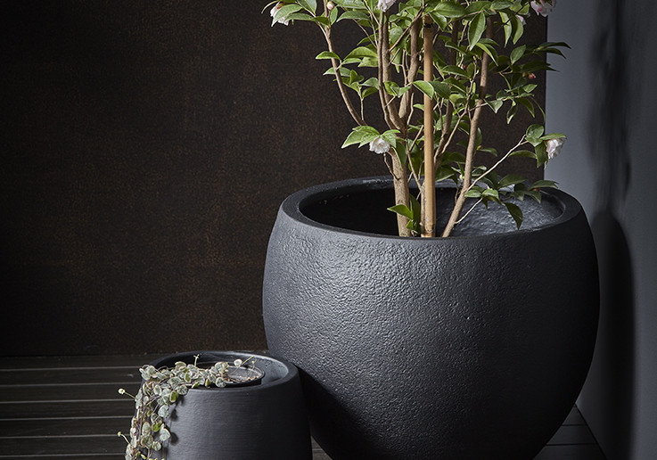 Black Beauty with New Resene Colour Enhance Japan Black