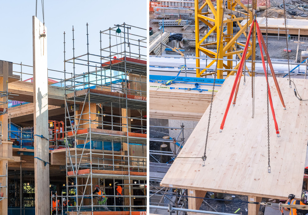 Living Pā Glowing with Timber, Not Steel