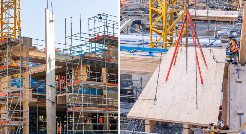 Living Pā Glowing with Timber, Not Steel
