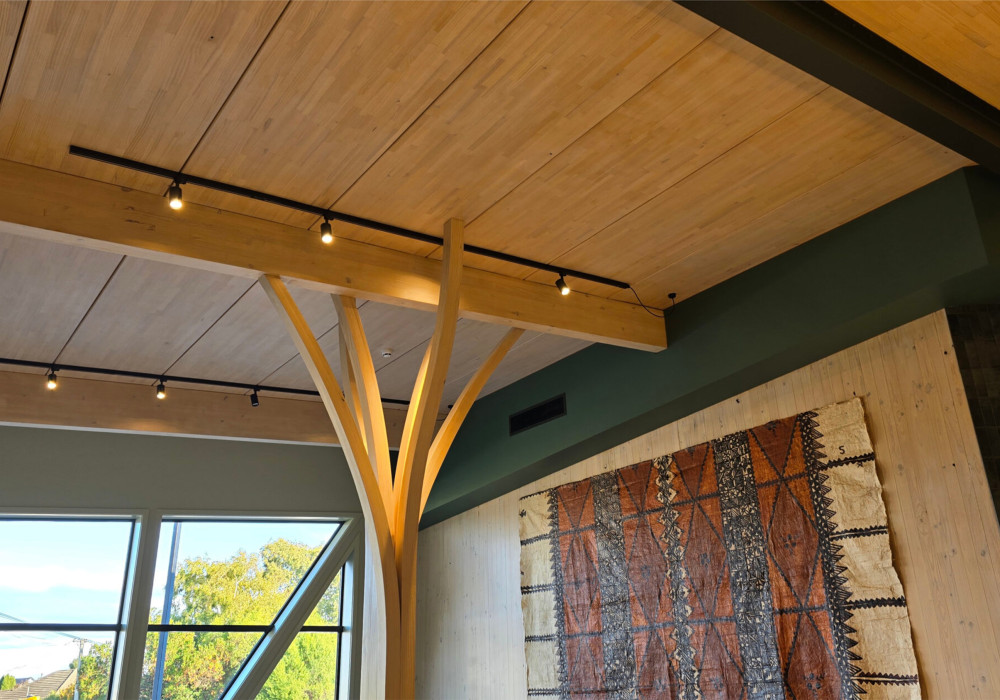 Embracing Mass Timber for Low Carbon Construction