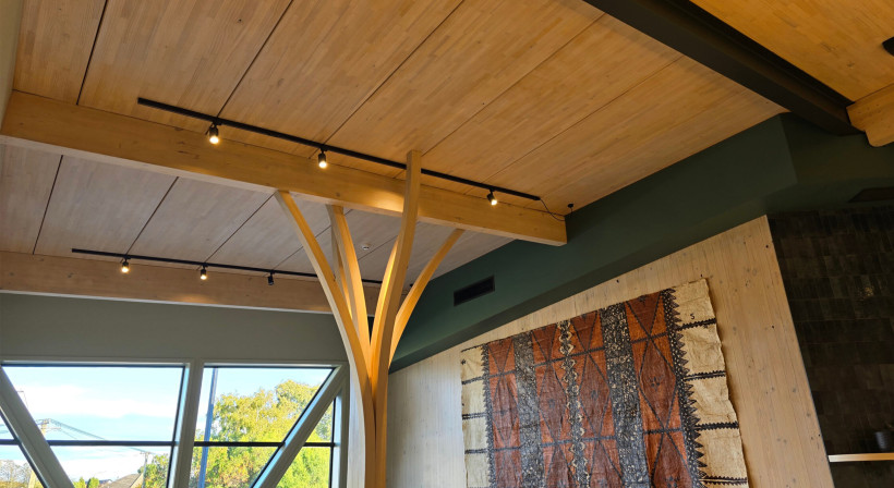 Embracing Mass Timber for Low Carbon Construction