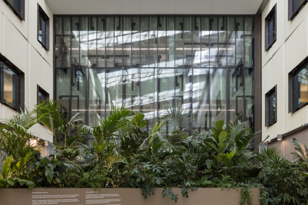 Tōtara Haumaru: North Shore Hospital with Distinctive Design Touches