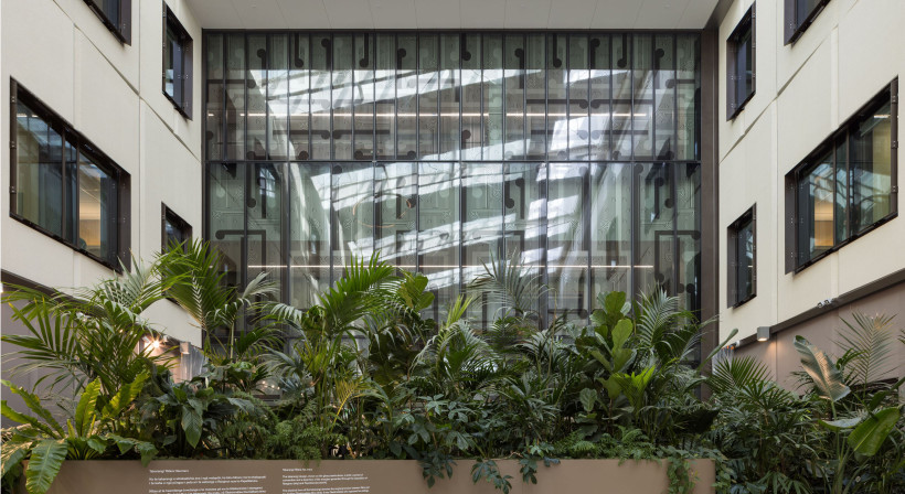 Tōtara Haumaru: North Shore Hospital with Distinctive Design Touches
