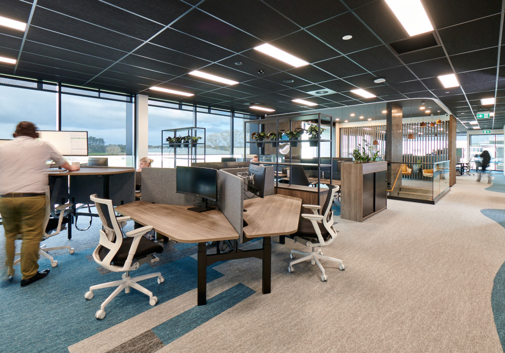 A Bold Combination of Colour, Shape and Texture for Riverlea Head Office