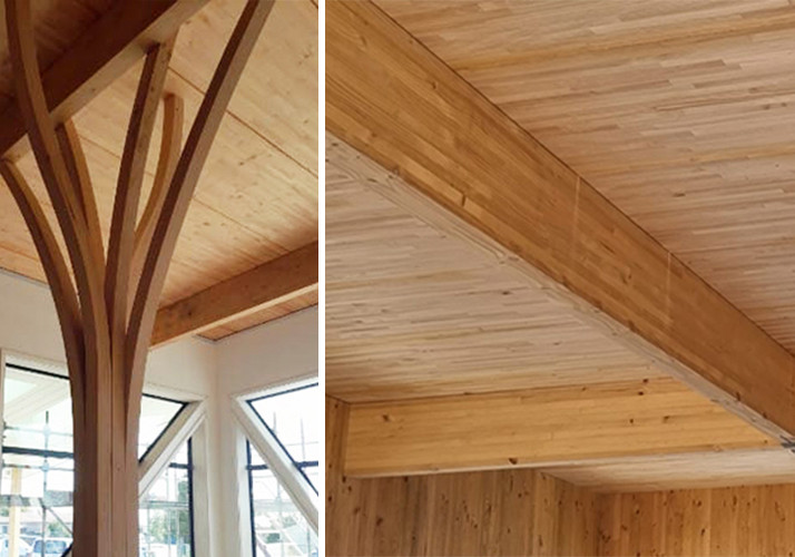 New Zealand Timber for the Win at the New Zealand Artificial Limbs Society