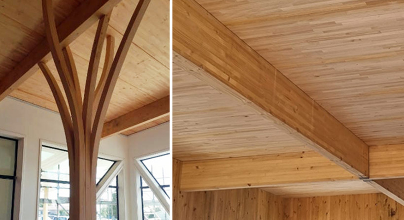 New Zealand Timber for the Win at the New Zealand Artificial Limbs Society 