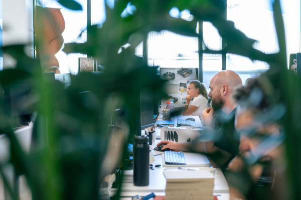 Paving the Way in Sustainable Workplace Design