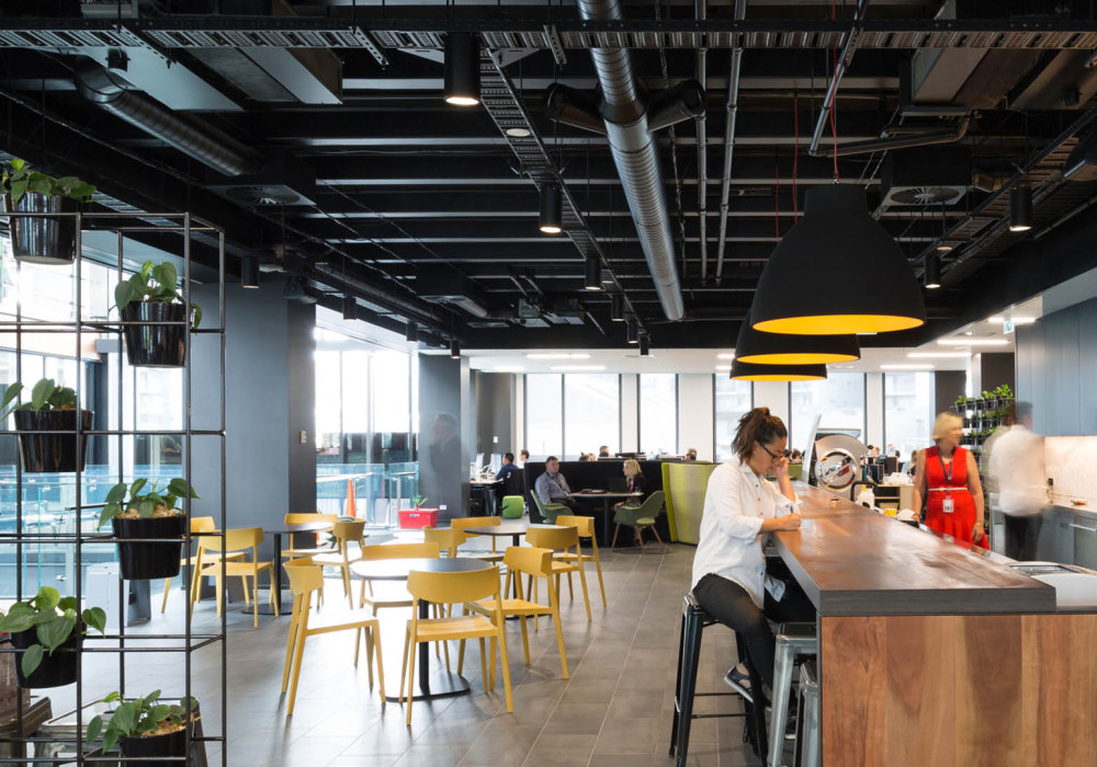 The Next Era of Workplaces: Prioritising People, Creativity, and Sustainability