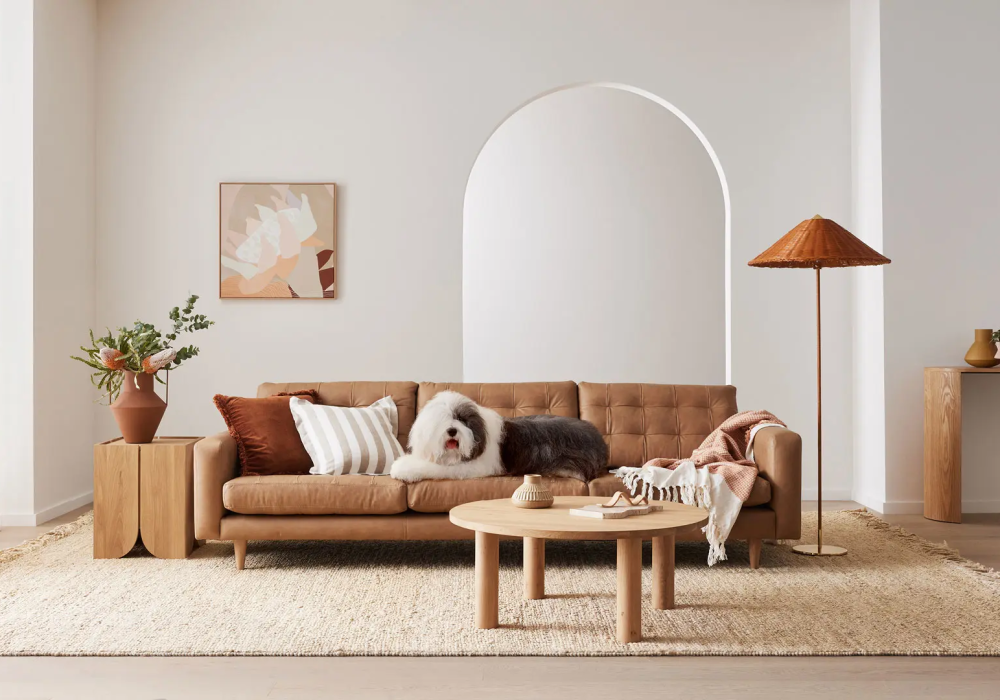 Exploring the Most Loved Whites in the Dulux Colours of New Zealand Range