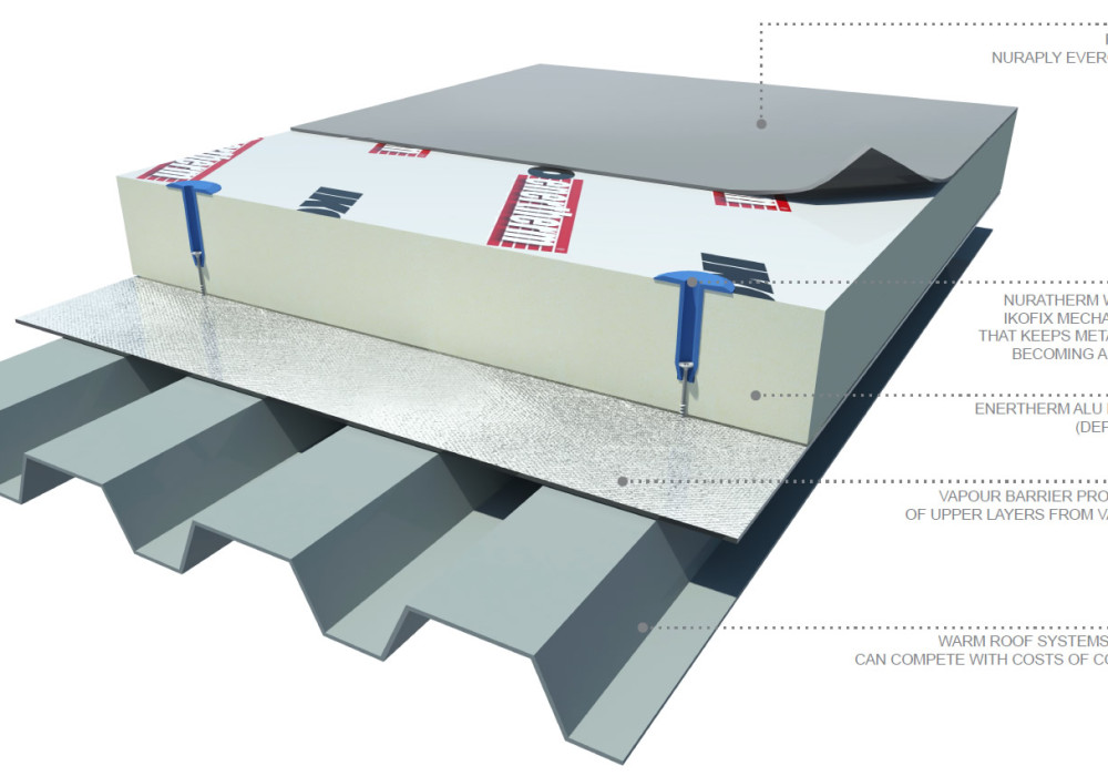 Why Warm Roofs Are the Smart, Cost-Effective Choice for New Zealand