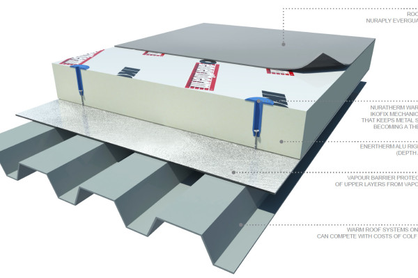Why Warm Roofs Are the Smart, Cost-Effective Choice for New Zealand