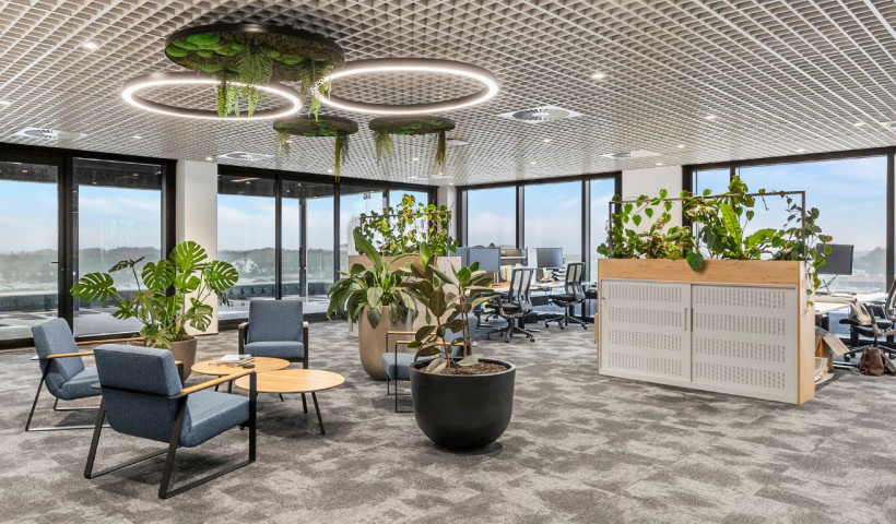 Carpet Tiles Bring an Organic Touch to an Industrial Interior