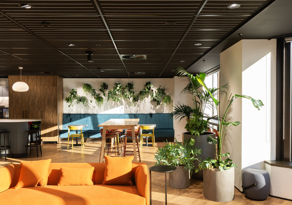 Asona Triton 25 Provides a Dramatic Ceiling Design at Stride Property Offices