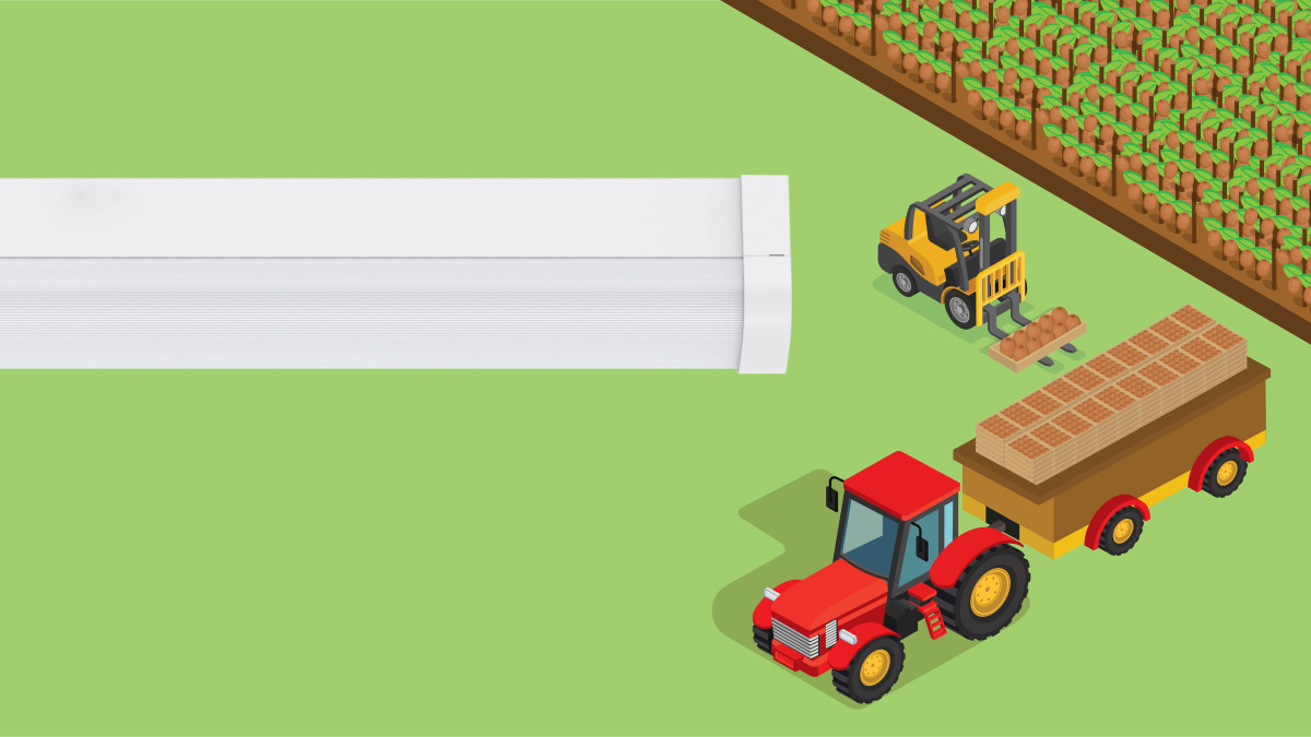The production of one Beach Batten saves 0.94kg in carbon dioxide — the same weight as 10 kiwifruit!