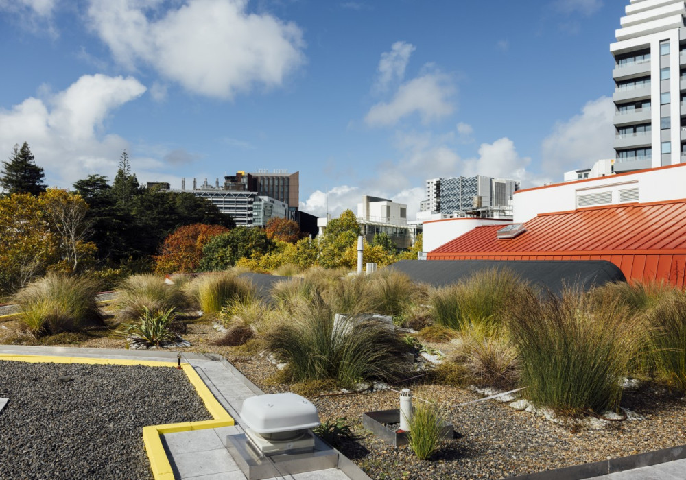 Auckland Library’s Green Roof Measurable Results, 18 Months On