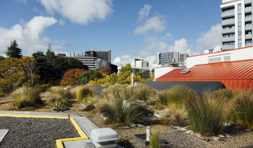 Auckland Library’s Green Roof Measurable Results, 18 Months On