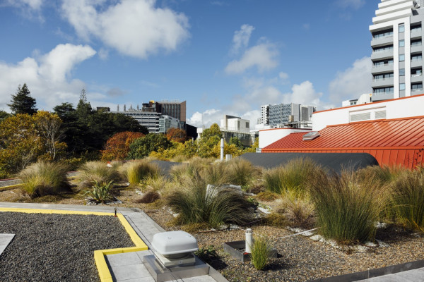 Auckland Library’s Green Roof Measurable Results, 18 Months On