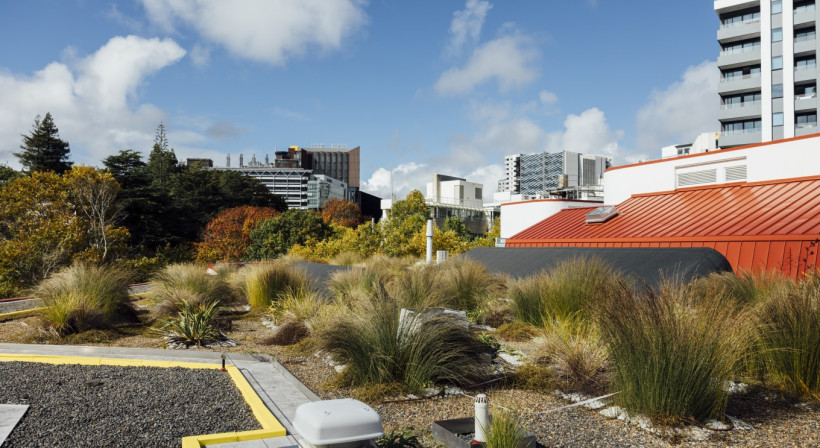 Auckland Library’s Green Roof Measurable Results, 18 Months On