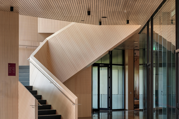 Enhancing Acoustic Comfort in Commercial Spaces with Big River Panels' Acoustic Solutions