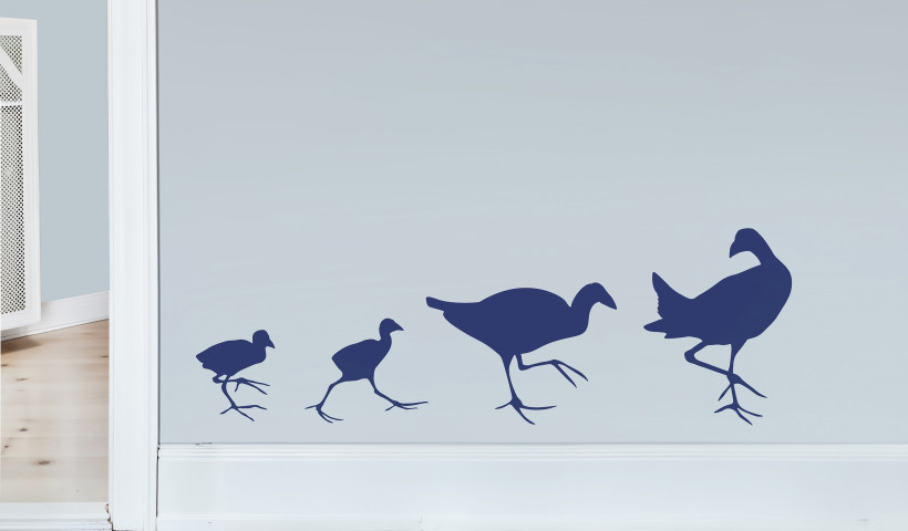 Dress Up Walls with Kiwi-Inspired Resene Wall Decals